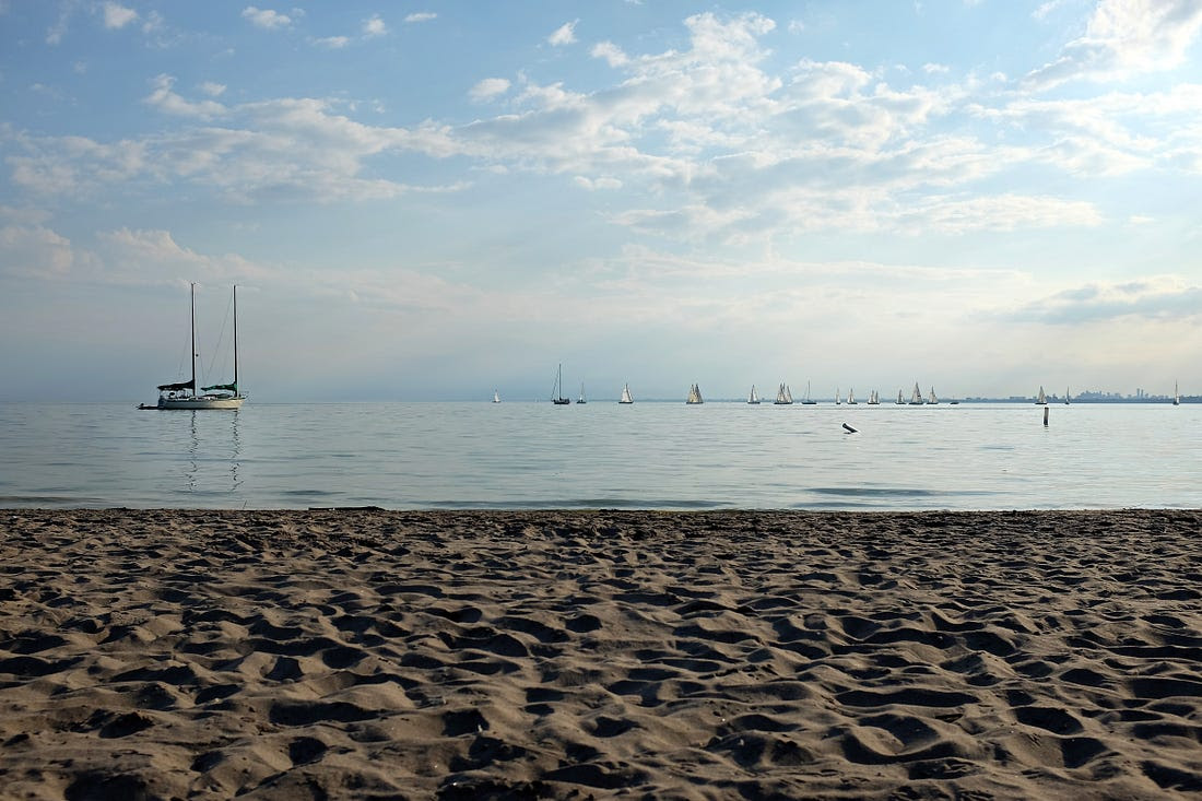 Protecting the vibe at Hanlan’s Point